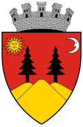 Coa Romania Town Falticsén